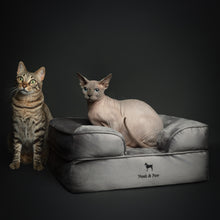 Noah & Paw orthopedic sofa dog bed in velvet with memory foam and cooling gel, gray, size S (20 x 15 x 8 in)