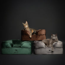 Noah & Paw orthopedic sofa dog bed in velvet with memory foam and cooling gel, gray, size S (20 x 15 x 8 in)