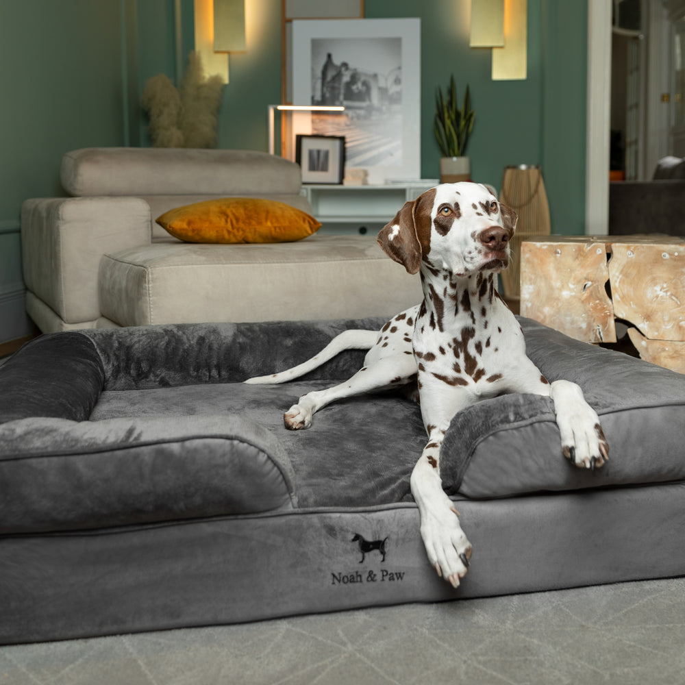 Noah & Paw orthopedic sofa dog bed in velvet with memory foam and cooling gel, gray, size XL (45 x 35 x 11 in)