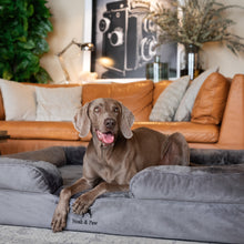 Noah & Paw orthopedic sofa dog bed in velvet with memory foam and cooling gel, gray, size XL (45 x 35 x 11 in)
