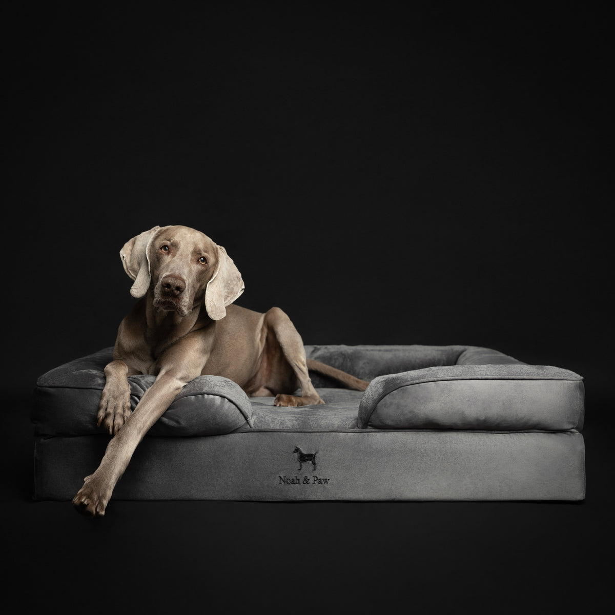 Velvet dog sofa bed, Noah & Paw