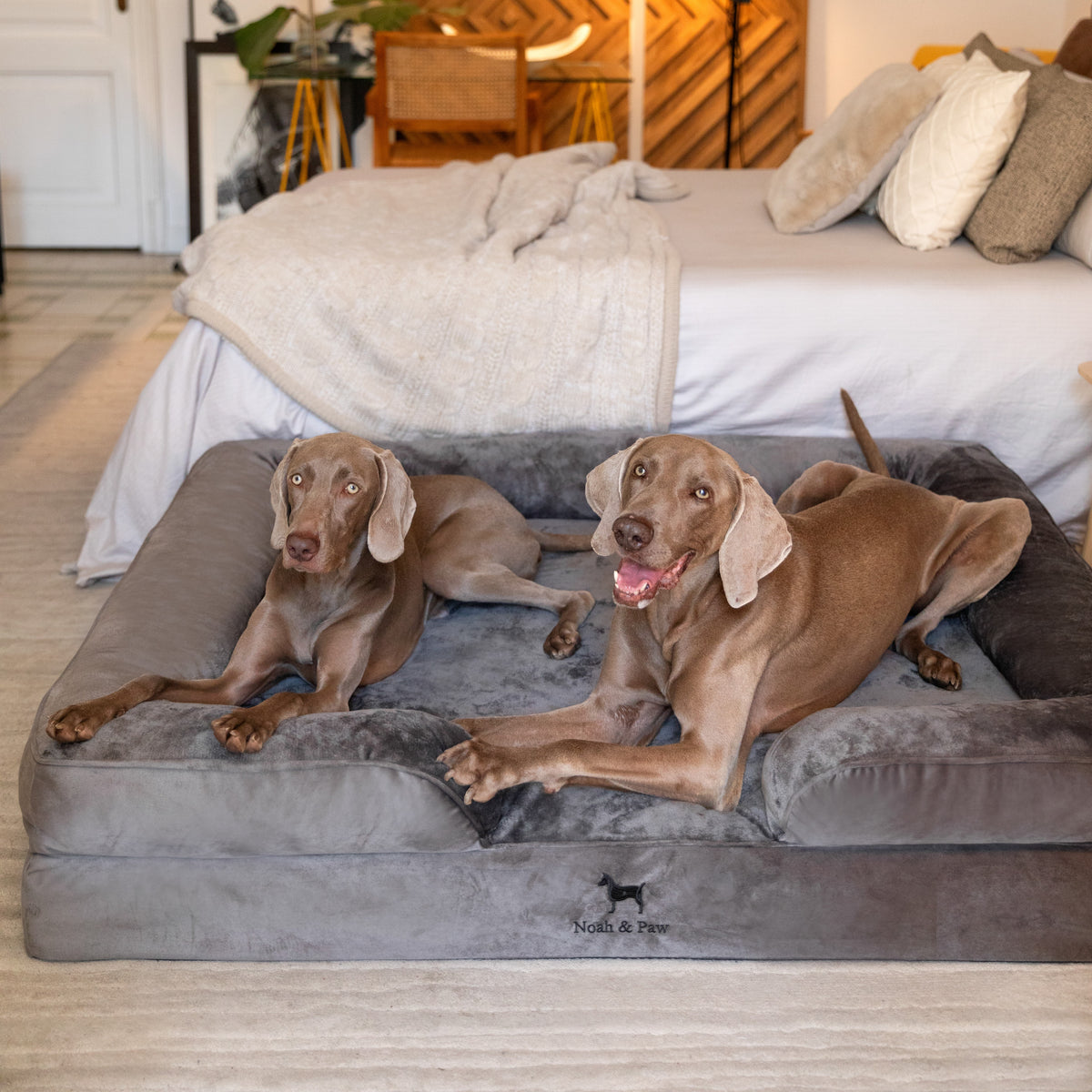 Noah & Paw orthopedic sofa dog bed in velvet with memory foam and cooling gel, gray, size XXL (55 x 45 x 11 in)