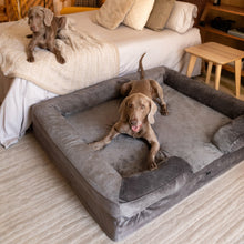 Noah & Paw orthopedic sofa dog bed in velvet with memory foam and cooling gel, gray, size XXL (55 x 45 x 11 in)