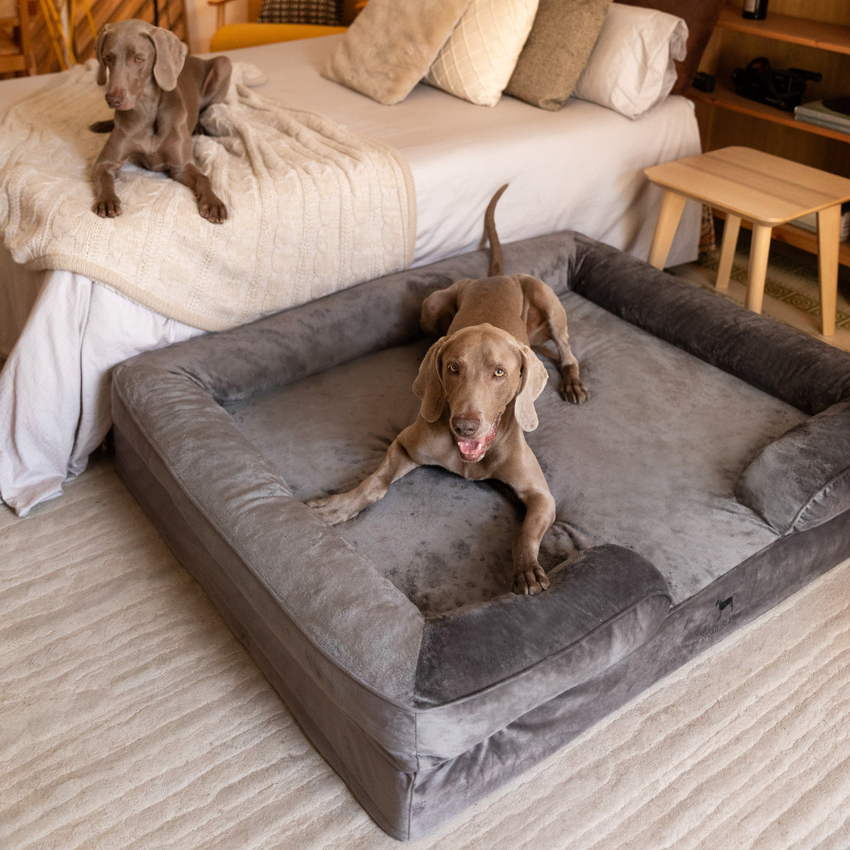 Noah & Paw orthopedic sofa dog bed in velvet with memory foam and cooling gel, gray, size XXL (55 x 45 x 11 in)