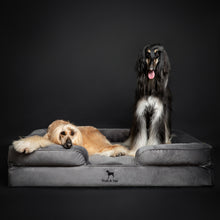 Noah & Paw orthopedic sofa dog bed in velvet with memory foam and cooling gel, gray, size XXL (55 x 45 x 11 in)