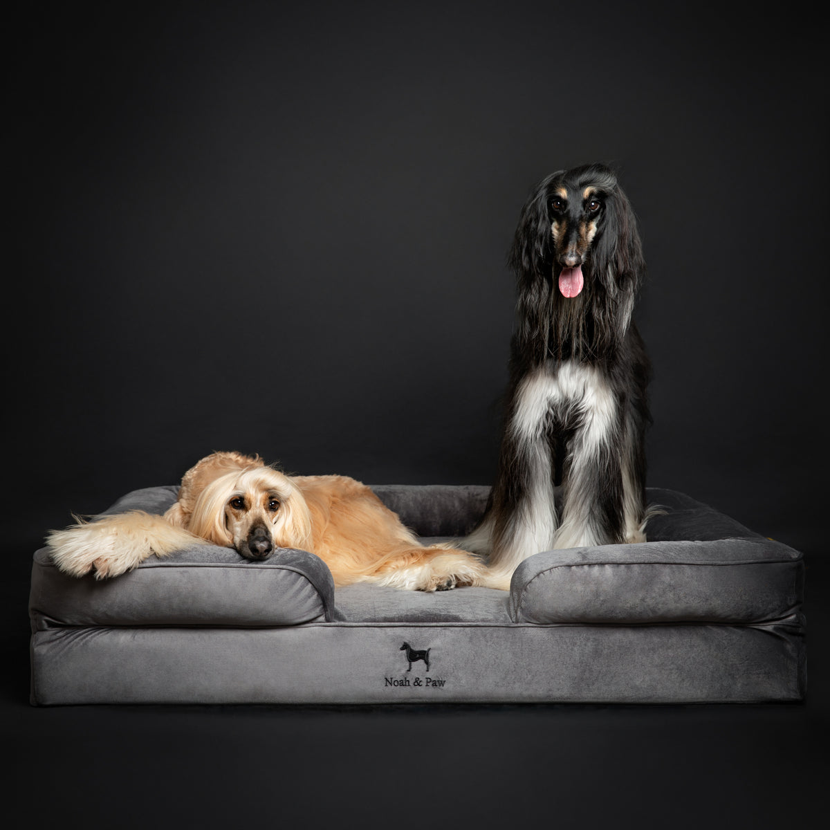 Velvet Orthopedic Pet Bed, Memory Foam, Infused with Cooling Gel