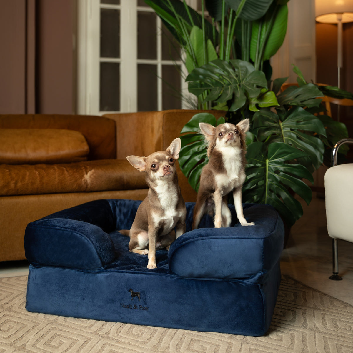 Noah & Paw orthopedic sofa dog bed in velvet with memory foam and cooling gel, navy blue, size M (28 x 23 x 11 in)