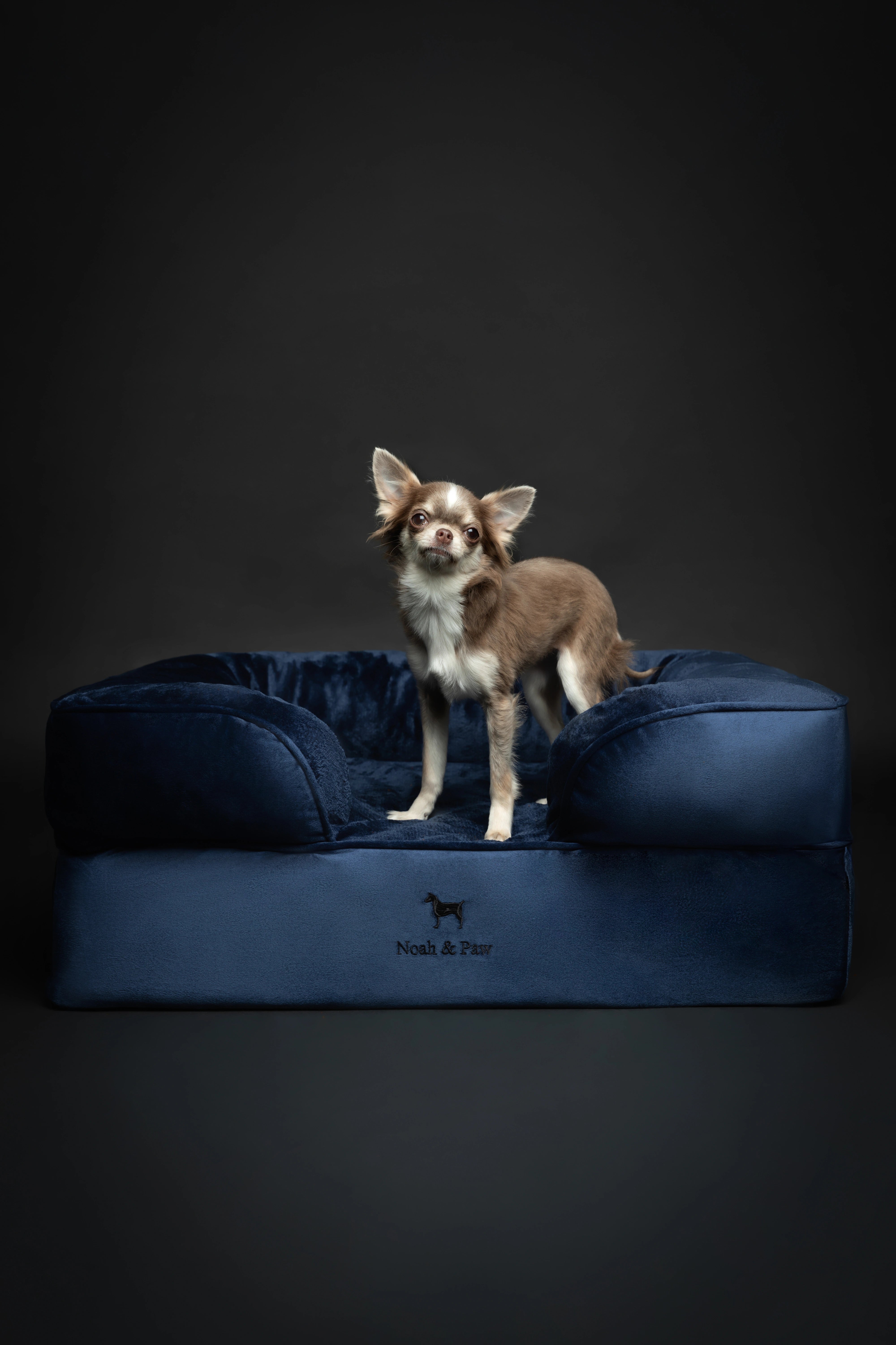Velvet, Orthopedic Pet Bed, Sofa Style - Navy Blue - M