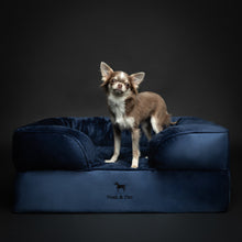 Noah & Paw orthopedic sofa dog bed in velvet with memory foam and cooling gel, navy blue, size M (28 x 23 x 11 in)