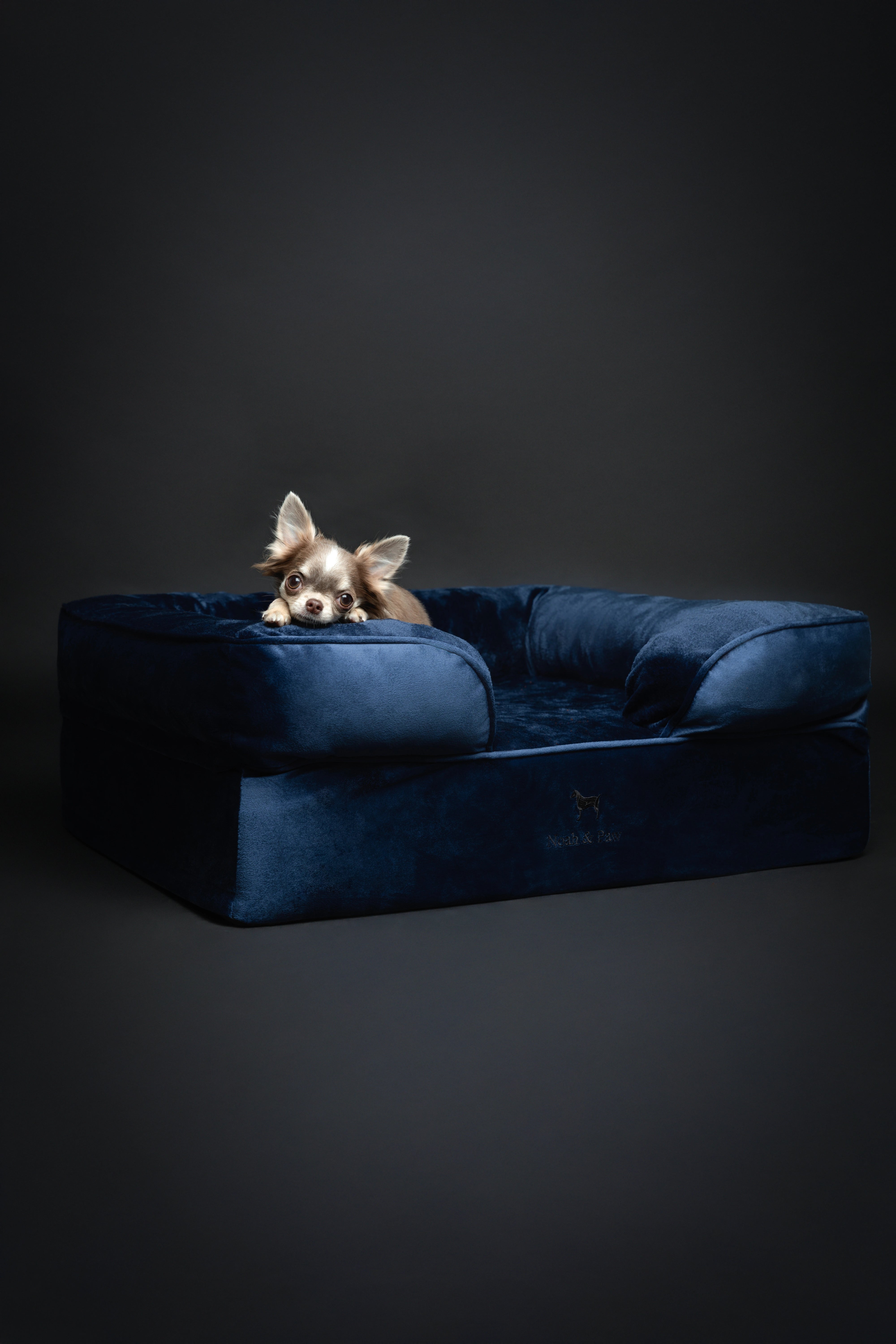 Velvet, Orthopedic Pet Bed, Sofa Style - Navy Blue - M