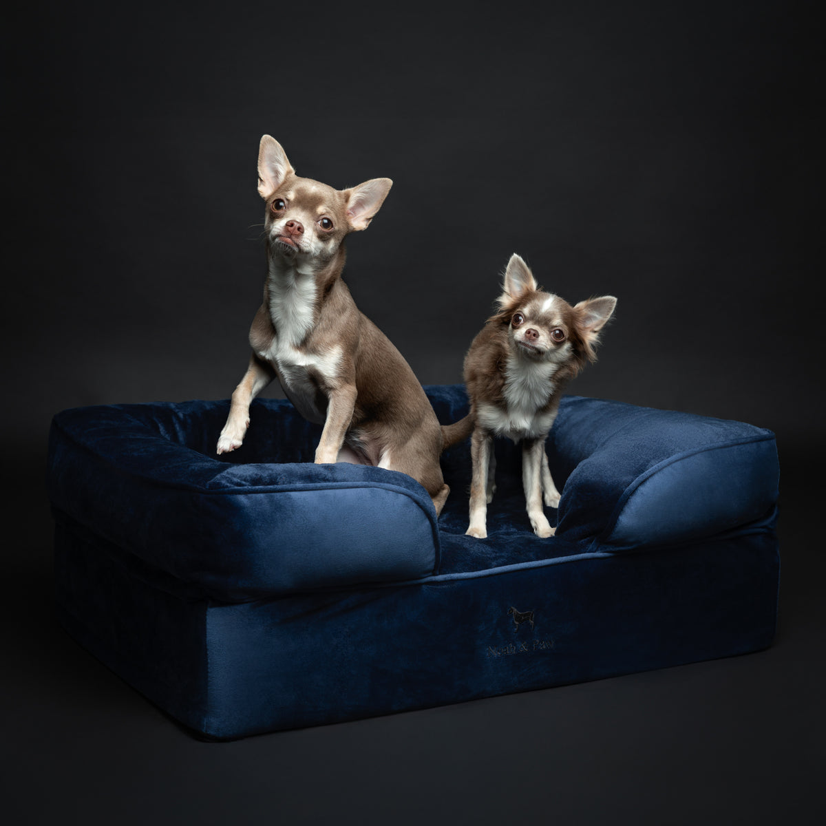 Noah & Paw orthopedic sofa dog bed in velvet with memory foam and cooling gel, navy blue, size M (28 x 23 x 11 in)