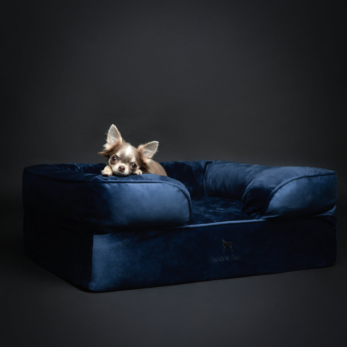 Noah & Paw orthopedic sofa dog bed in velvet with memory foam and cooling gel, navy blue, size M (28 x 23 x 11 in)