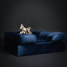 Noah & Paw orthopedic sofa dog bed in velvet with memory foam and cooling gel, navy blue, size M (28 x 23 x 11 in)