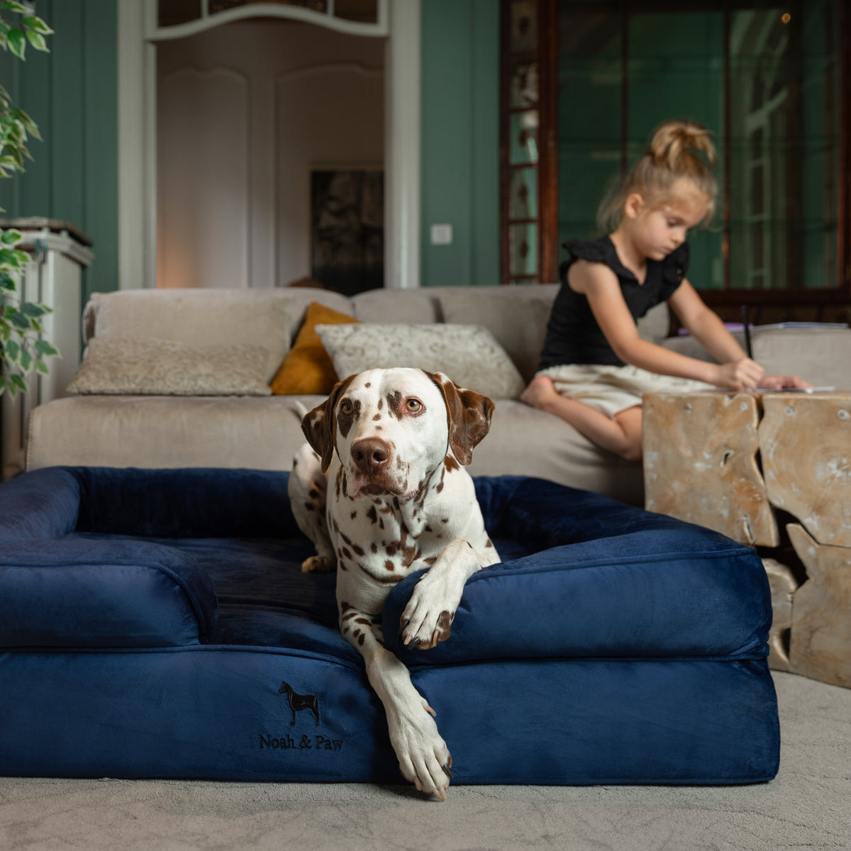 Noah & Paw orthopedic sofa dog bed in velvet with memory foam and cooling gel, navy blue, size XL (45 x 35 x 11 in)