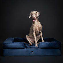 Noah & Paw orthopedic sofa dog bed in velvet with memory foam and cooling gel, navy blue, size XL (45 x 35 x 11 in)