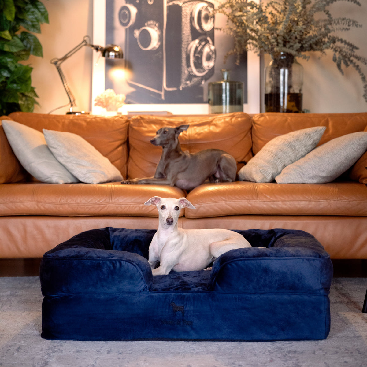 Noah & Paw orthopedic sofa dog bed in velvet with memory foam and cooling gel, navy blue, size L (35 x 25 x 11 in)
