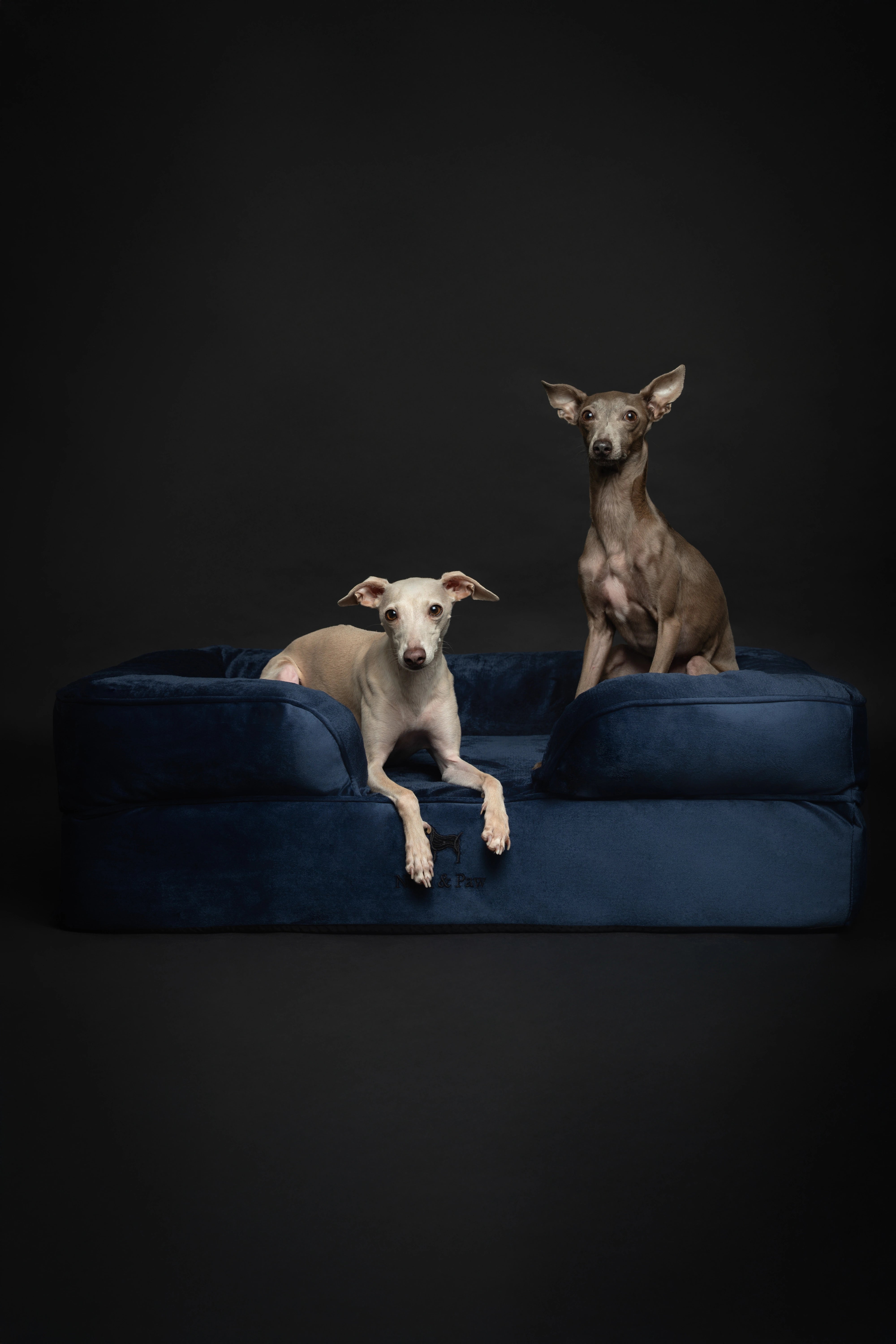 Velvet, Orthopedic Pet Bed, Sofa Style - Navy Blue - L