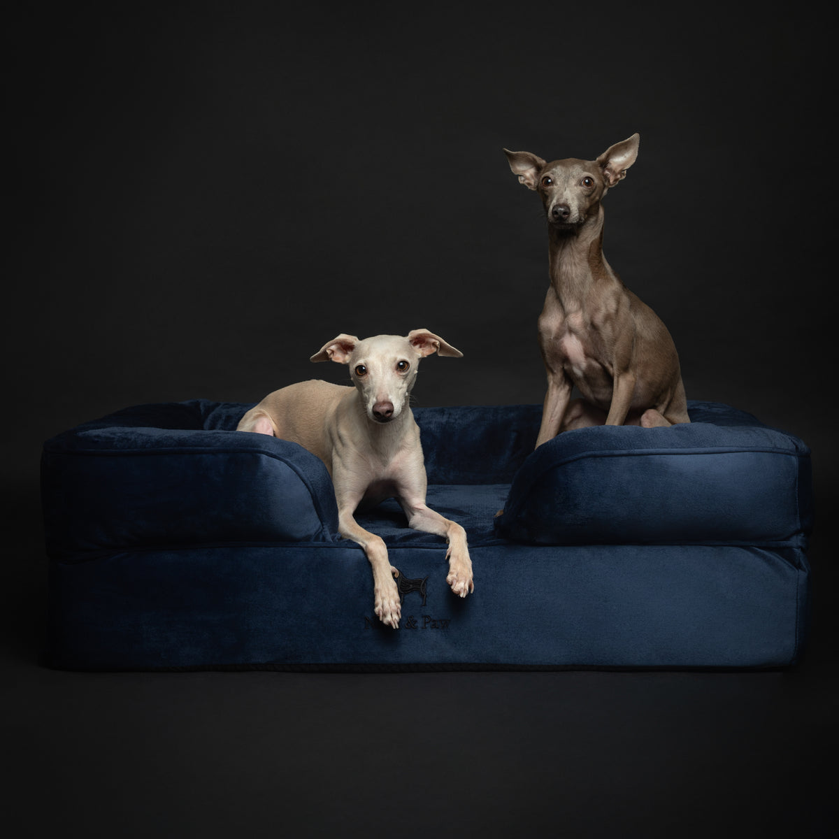 Noah & Paw orthopedic sofa dog bed in velvet with memory foam and cooling gel, navy blue, size L (35 x 25 x 11 in)