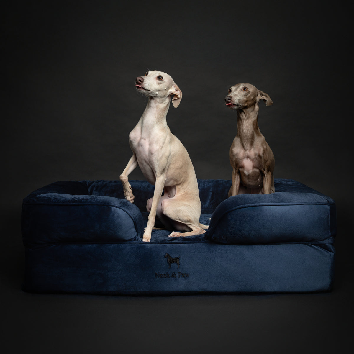 Noah & Paw orthopedic sofa dog bed in velvet with memory foam and cooling gel, navy blue, size L (35 x 25 x 11 in)