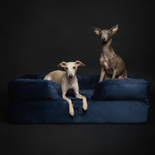 Noah & Paw orthopedic sofa dog bed in velvet with memory foam and cooling gel, navy blue, size L (35 x 25 x 11 in)