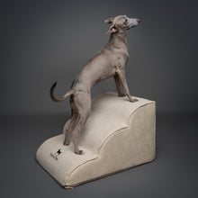Beige dog ramp, faux leather, Noah & Paw