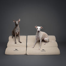 Noah & Paw 27-inch extra wide dog ramp stairs in faux leather, beige, 3 steps
