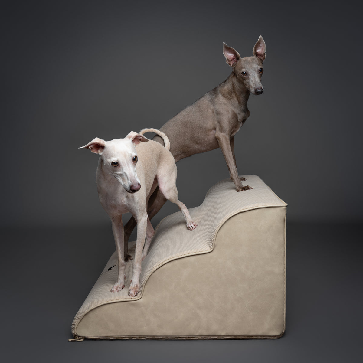 Noah & Paw dog ramp stairs for bed in faux leather, beige, 3 steps