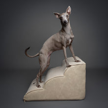 Noah & Paw dog ramp stairs for bed in faux leather, beige, 3 steps