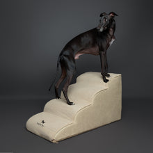 Noah & Paw dog ramp stairs for bed in faux leather, beige, 4 steps
