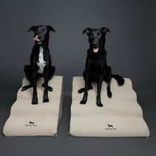 Noah & Paw 27-inch extra wide dog ramp stairs in faux leather, beige, 4 steps