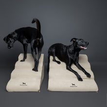 Noah & Paw 27-inch extra wide dog ramp stairs in faux leather, beige, 4 steps