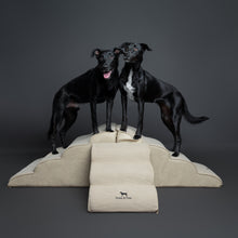 Noah & Paw dog ramp stairs for bed in faux leather, beige, 4 steps