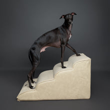Noah & Paw dog ramp stairs for bed in faux leather, beige, 4 steps
