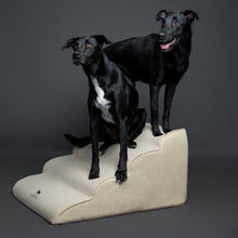 Noah & Paw dog ramp stairs for bed in faux leather, beige, 4 steps