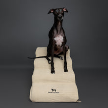 Noah & Paw dog ramp stairs for bed in faux leather, beige, 4 steps