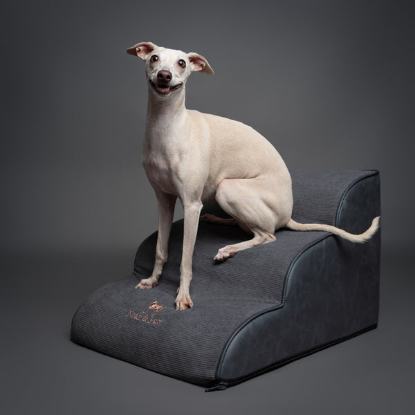 Noah & Paw dog ramp stairs for bed in faux leather, black, 3 steps