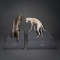 Noah & Paw 27-inch extra wide dog ramp stairs in faux leather, black, 3 steps
