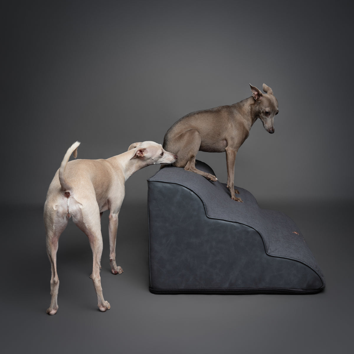 Noah & Paw 27-inch extra wide dog ramp stairs in faux leather, black, 3 steps