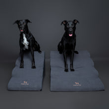 Noah & Paw 27-inch extra wide dog ramp stairs in faux leather, black, 4 steps