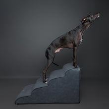 Noah & Paw 27-inch extra wide dog ramp stairs in faux leather, black, 4 steps