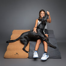 Noah & Paw 27-inch extra wide dog ramp stairs in faux leather, black, 5 steps