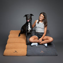 Noah & Paw 27-inch extra wide dog ramp stairs in faux leather, black, 5 steps