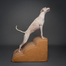 Noah & Paw dog ramp stairs for bed in faux leather, camel, 3 steps