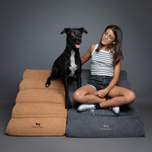 Noah & Paw dog ramp stairs for bed in faux leather, camel, 5 steps