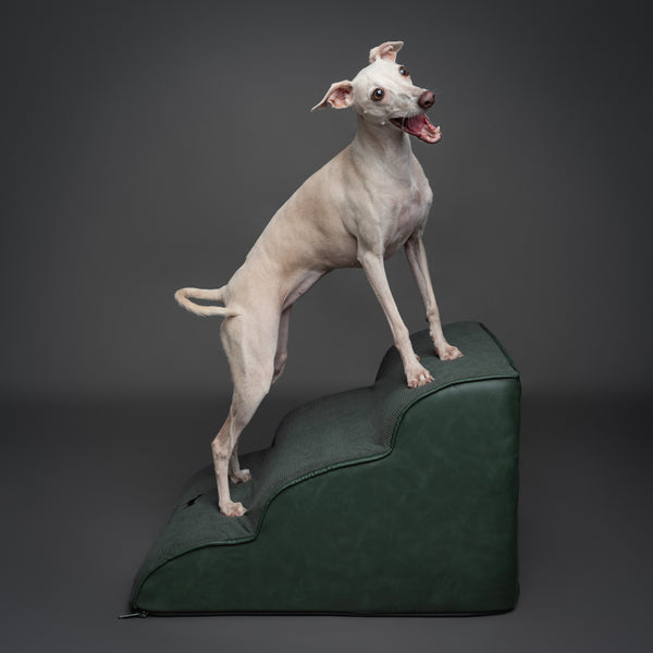 Noah & Paw dog ramp stairs for bed in faux leather, dark green, 3 steps