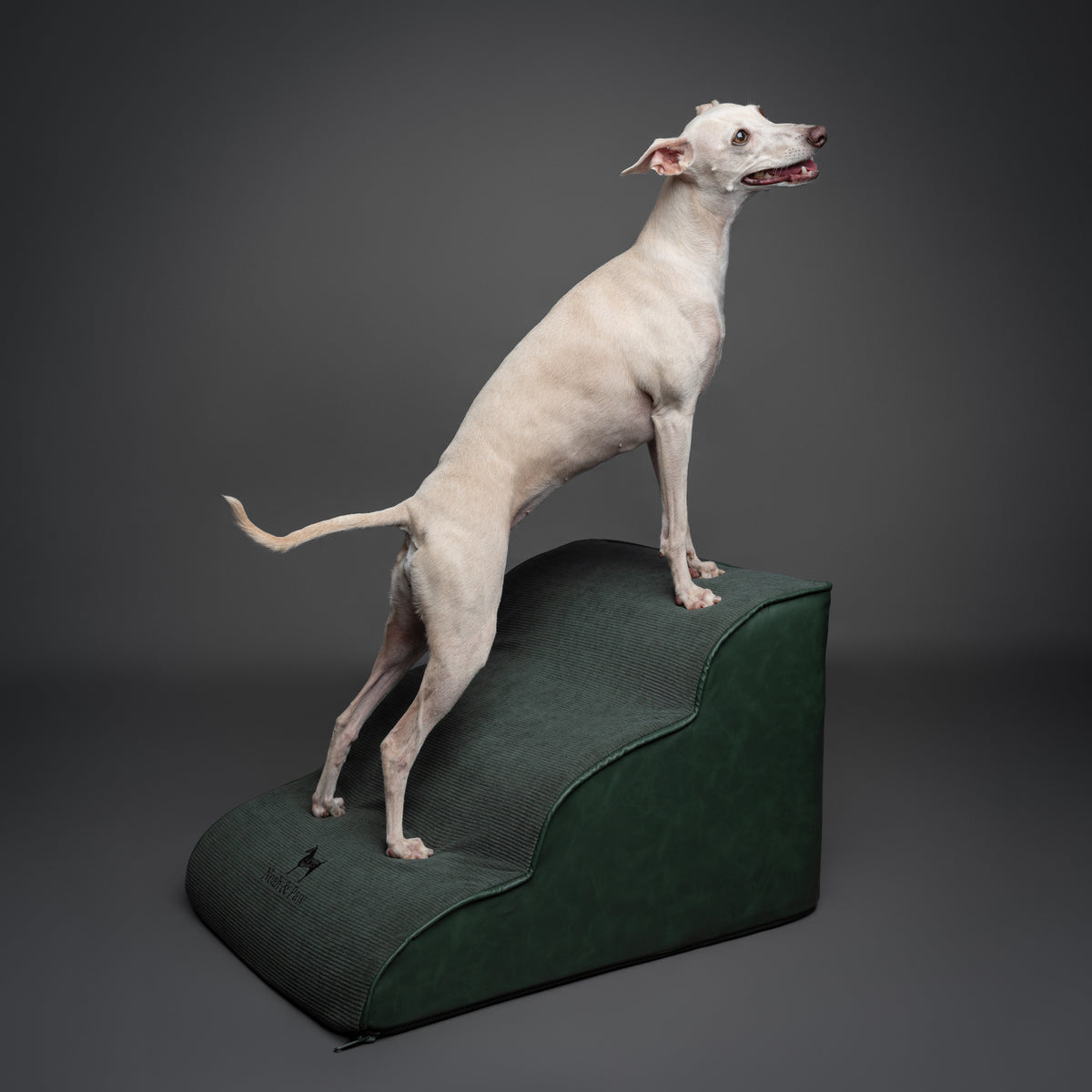 Noah & Paw dog ramp stairs for bed in faux leather, dark green, 3 steps