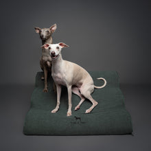 Dark green extra wide dog ramp, 27 inch, Noah & Paw