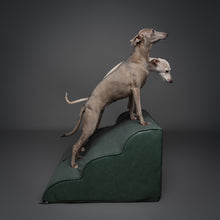 Noah & Paw 27-inch extra wide dog ramp stairs in faux leather, dark green, 3 steps