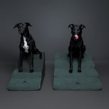 Noah & Paw 27-inch extra wide dog ramp stairs in faux leather, dark green, 4 steps