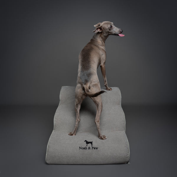 Noah & Paw dog ramp stairs for bed in faux leather, gray, 3 steps